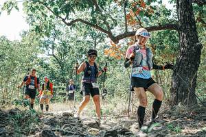 BIB: 
                            <button type="button" onclick="openModal(26105375)" class="btn btn-primary btn-sm float-right btn-popup" data-toggle="modal" data-target=".modal-high-quality">
                        <i class="fas fa-shopping-cart"></i> Add to Cart
                    </button>
                                            <button type="button" onclick="isThisMe(26105375, true)" class="btn btn-success btn-sm float-right btn-popup btn-isme hidden" data-toggle="tooltip" data-placement="bottom" title="นี่คือรูปของคุณใช่ไหม คลิกที่นี่เพื่อเอาเข้าอัลบั้ม">
                        <i class="fas fa-plus"></i> Add to album
                    </button>
                    <button type="button" onclick="isThisMe(26105375, false)" class="btn btn-warning btn-sm float-right btn-popup btn-isnotme hidden">
                        <i class="fas fa-ban"></i> Remove from album
                    </button>